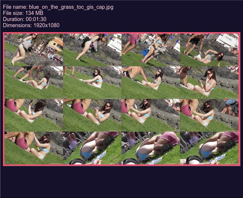 blue_on_the_grass_toc_gis