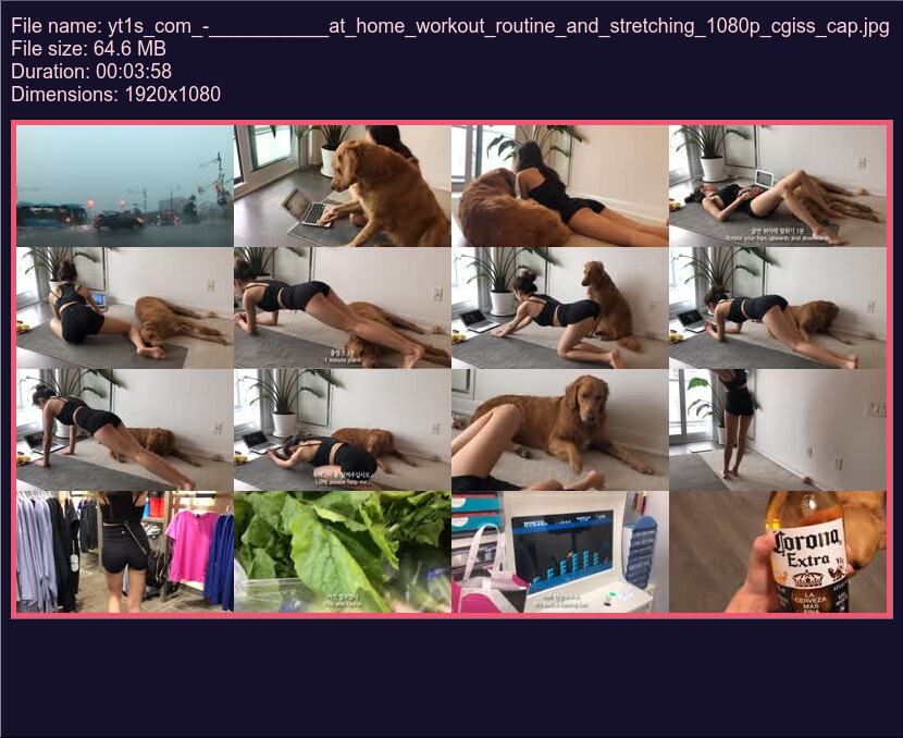 Yt 1 S Com At Home Workout Routine And Stretching 1080 P