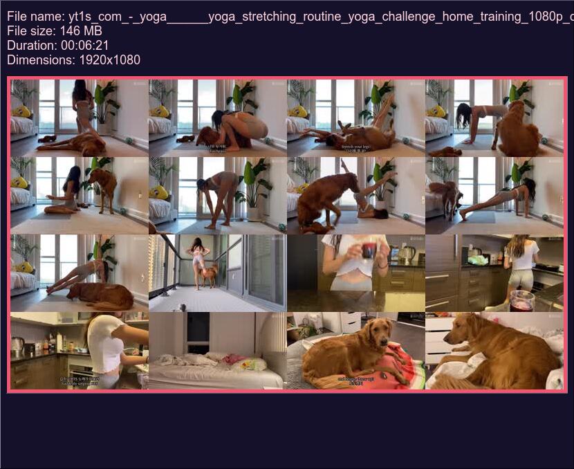 Yt 1 S Com Yoga Yoga Stretching Routine Yoga Challenge Home Training 1080 P