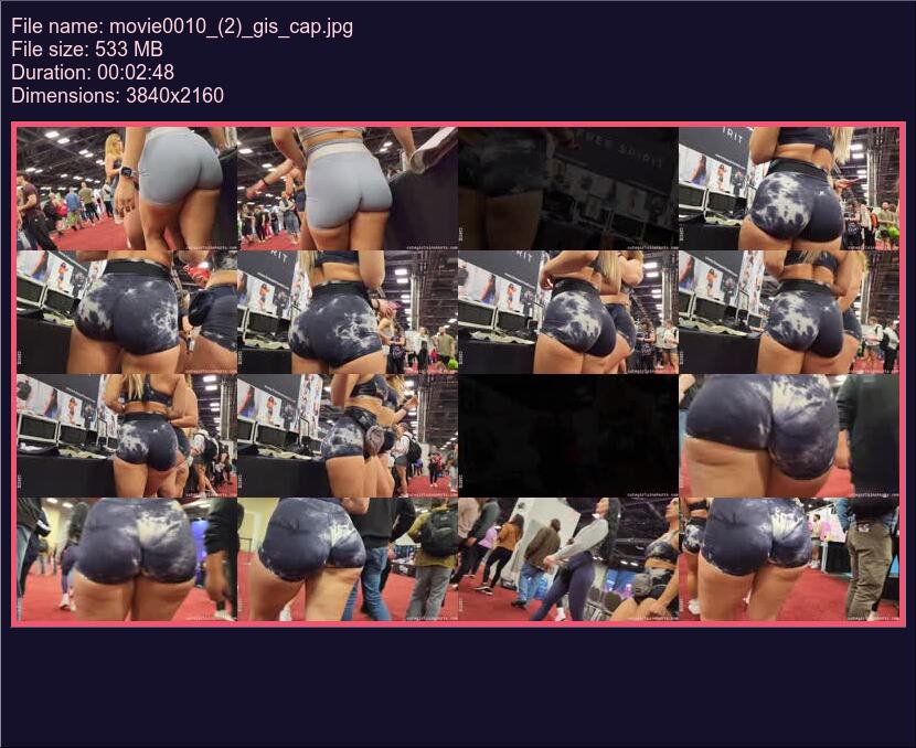 movie0010_(2)_gis