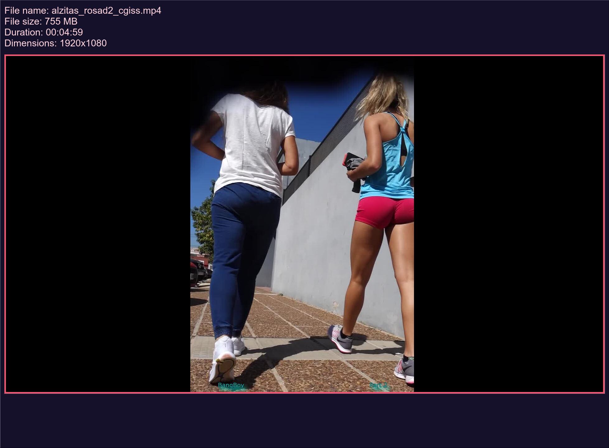 Alzitas Rosad 2