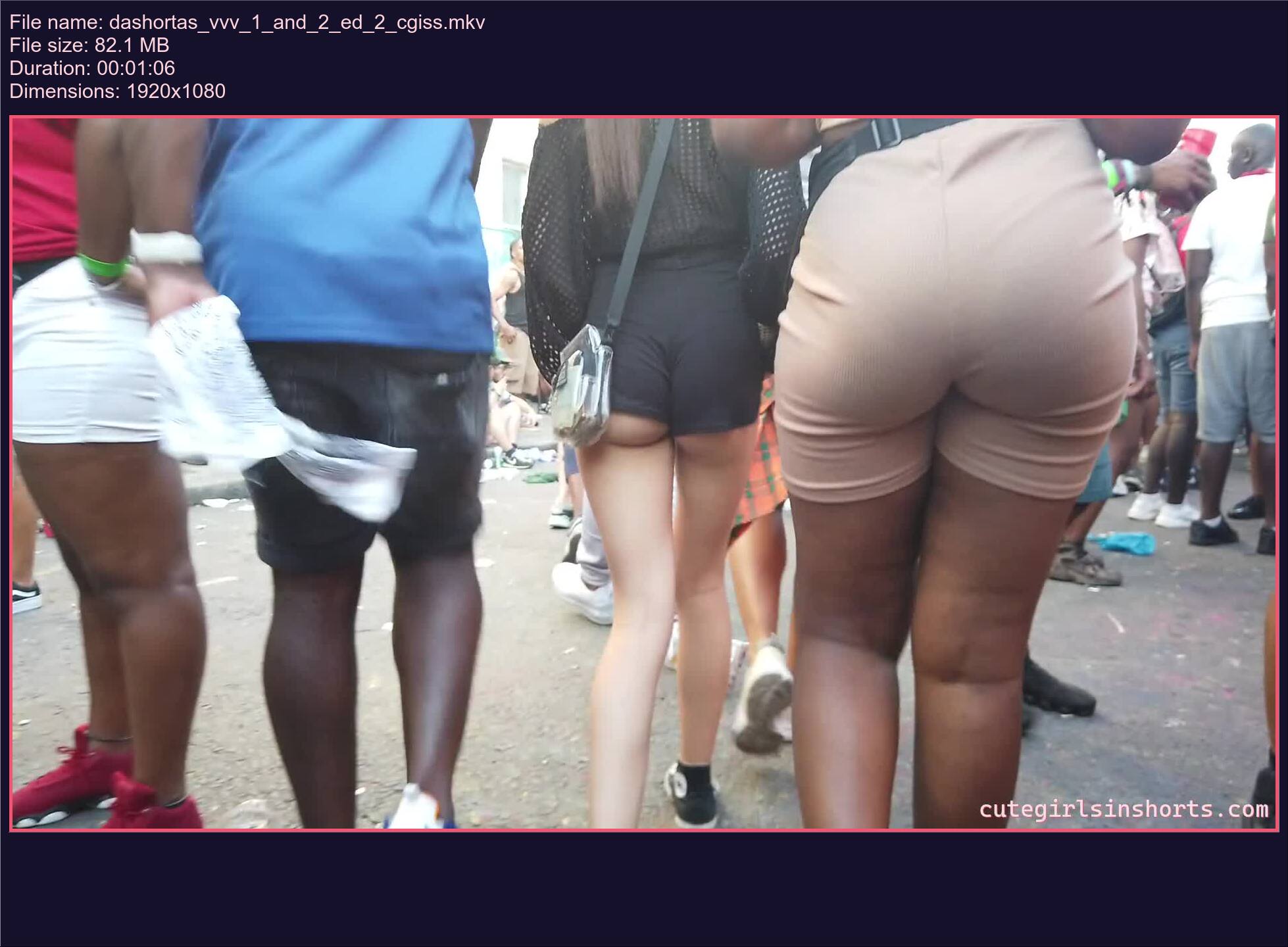 dashortas_vvv_1_and_2_ed_2_cgiss