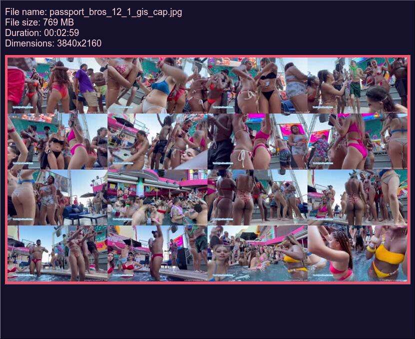 passport_bros_12_1_gis