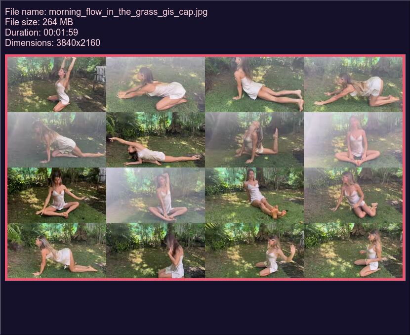 Morning Flow In The Grass