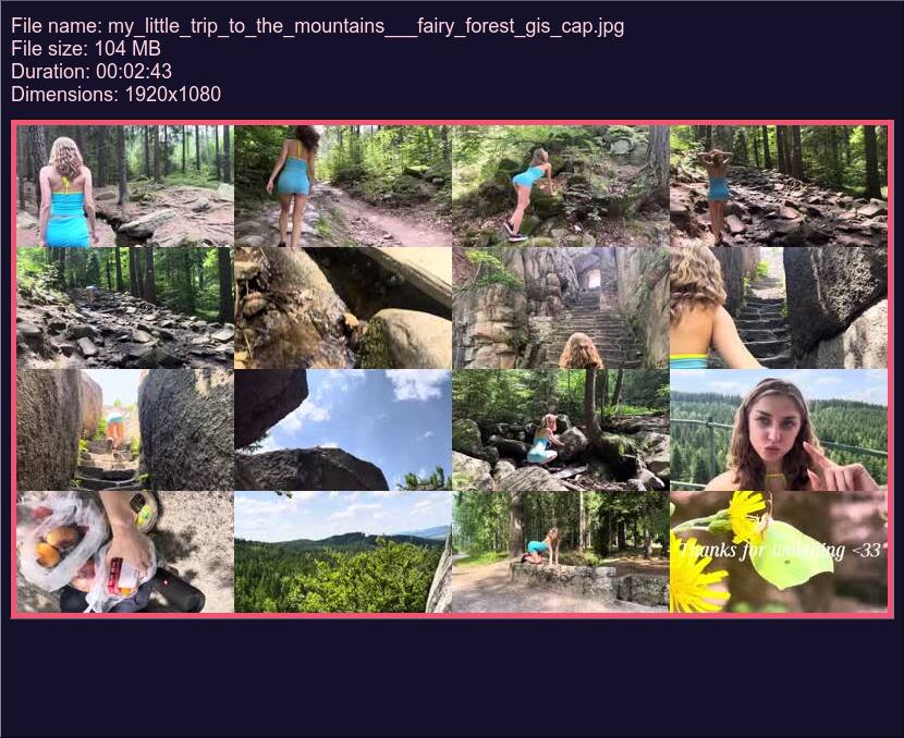 My Little Trip To The Mountains Fairy Forest