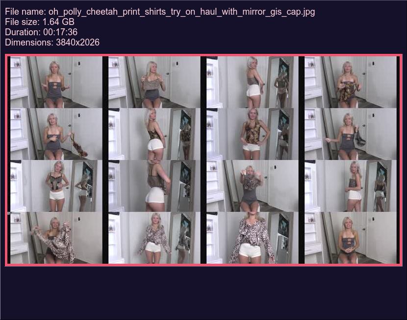 Oh Polly Cheetah Print Shirts Try On Haul With Mirror