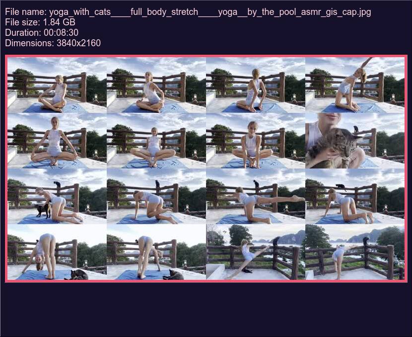 Yoga With Cats Full Body Stretch Yoga By The Pool Asmr