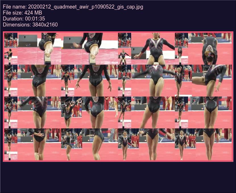 20200212_quadmeet_awir_p1090522_gis