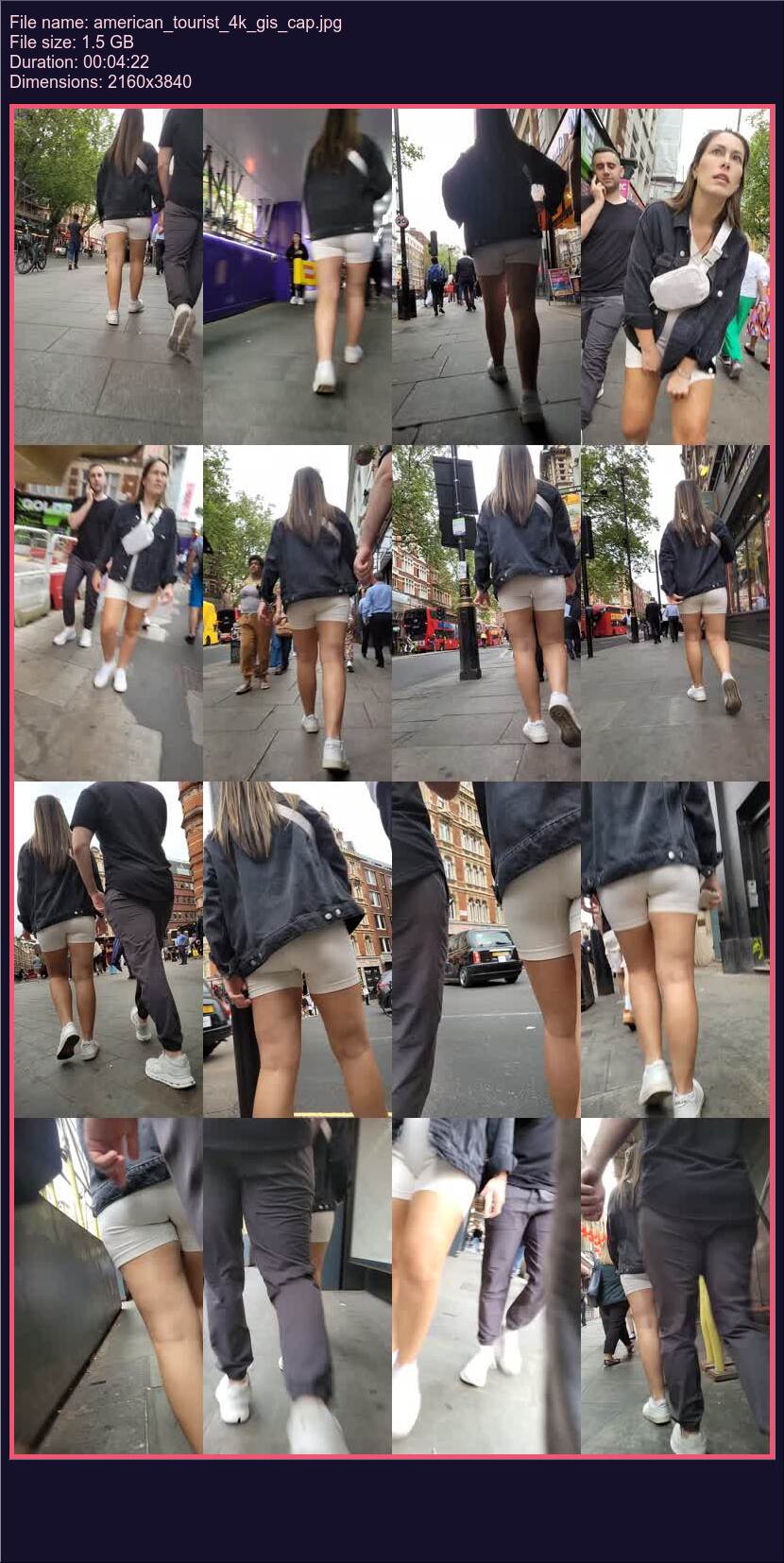 american_tourist_4k_gis