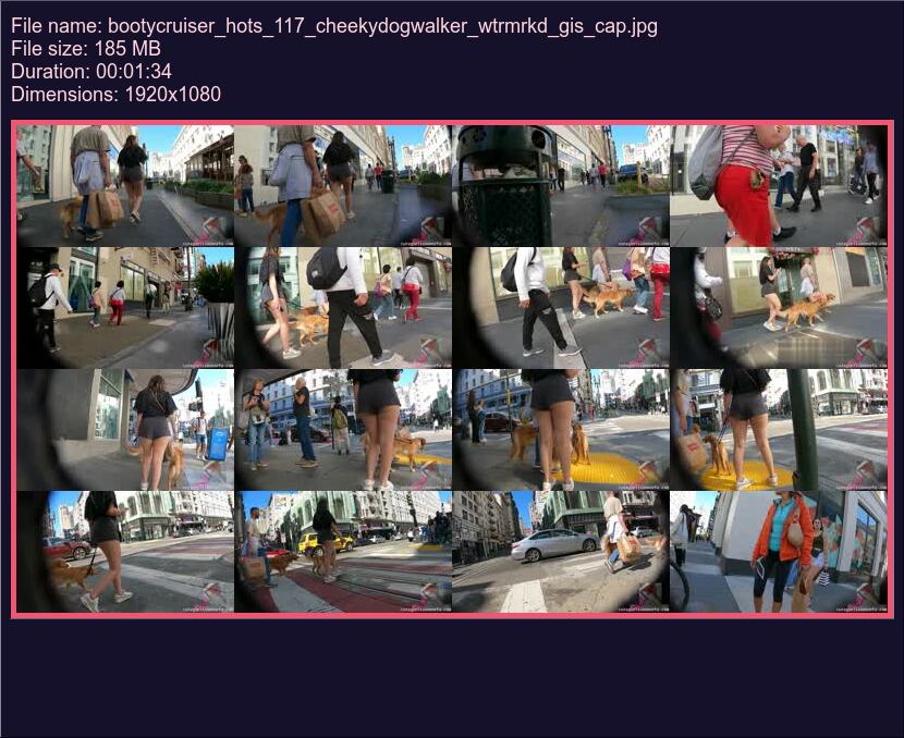 bootycruiser_hots_117_cheekydogwalker_wtrmrkd_gis