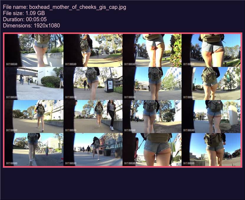 Boxhead Mother Of Cheeks