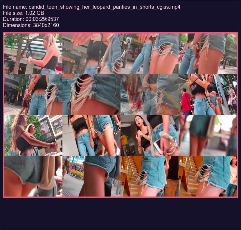 candid_teen_showing_her_leopard_panties_in_shorts_cgiss