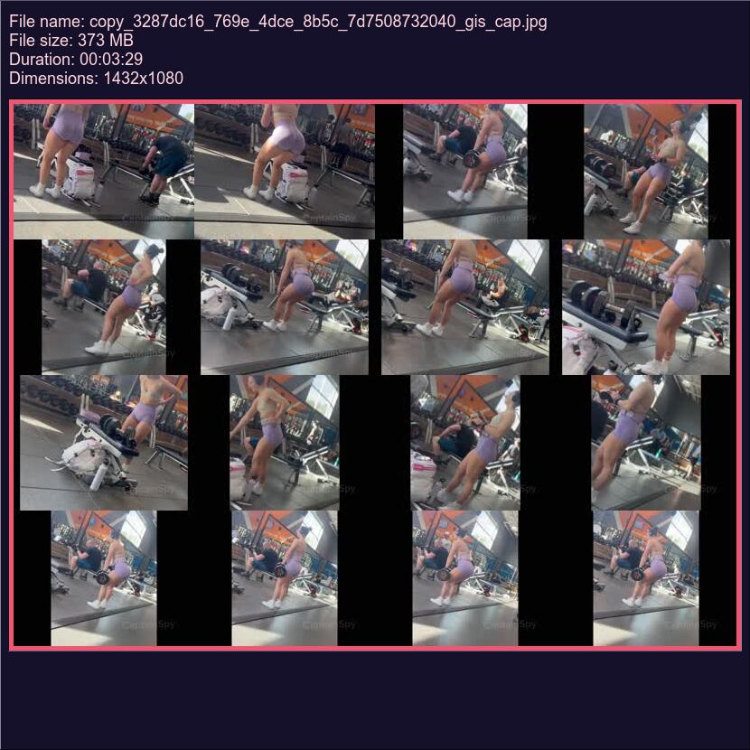 copy_3287dc16_769e_4dce_8b5c_7d7508732040_gis