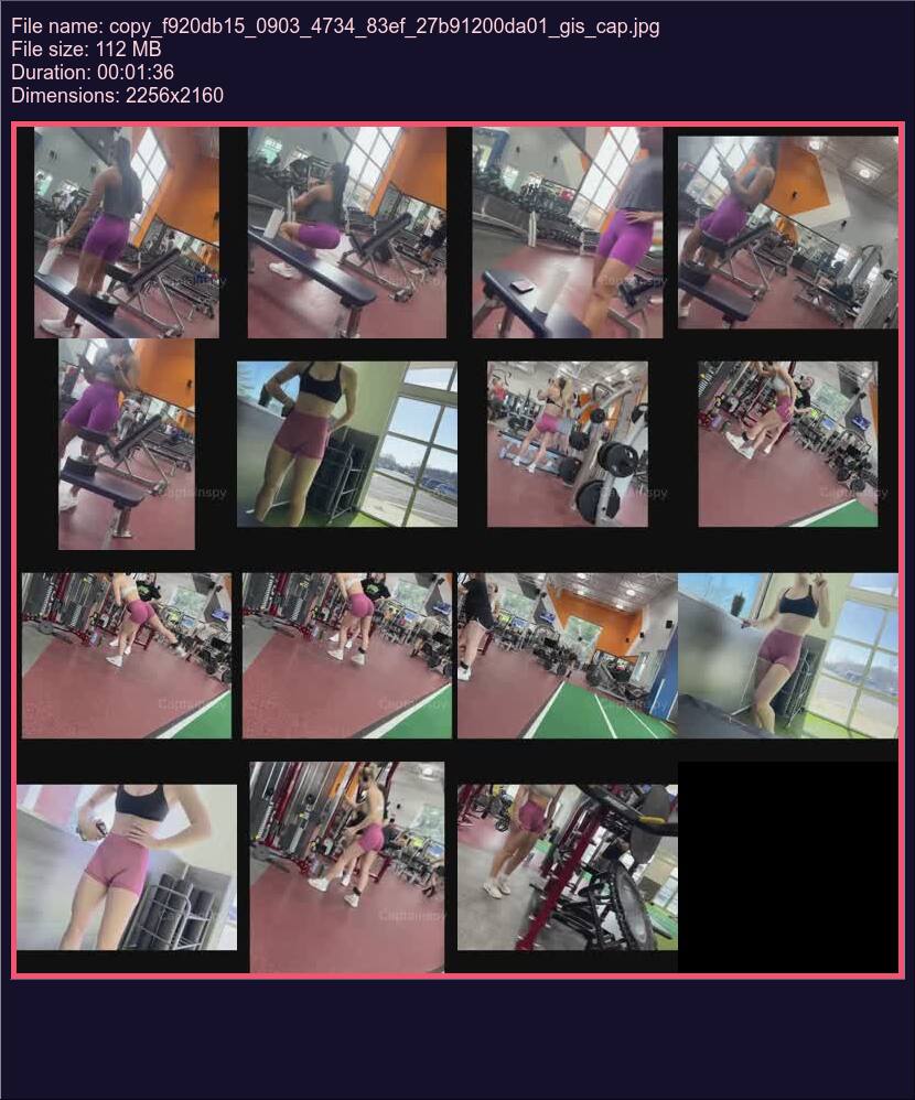 copy_f920db15_0903_4734_83ef_27b91200da01_gis