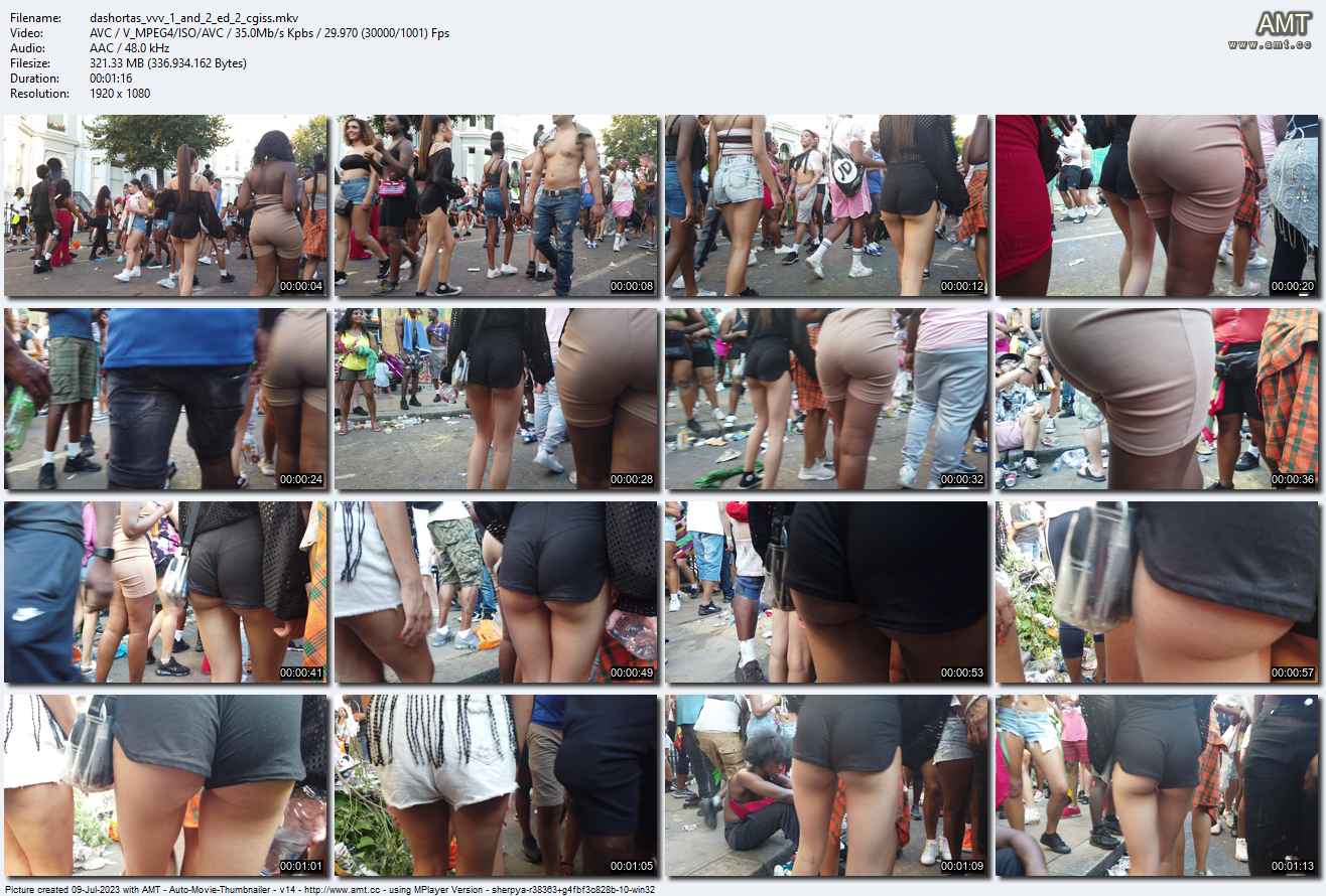 dashortas_vvv_1_and_2_ed_2_cgiss