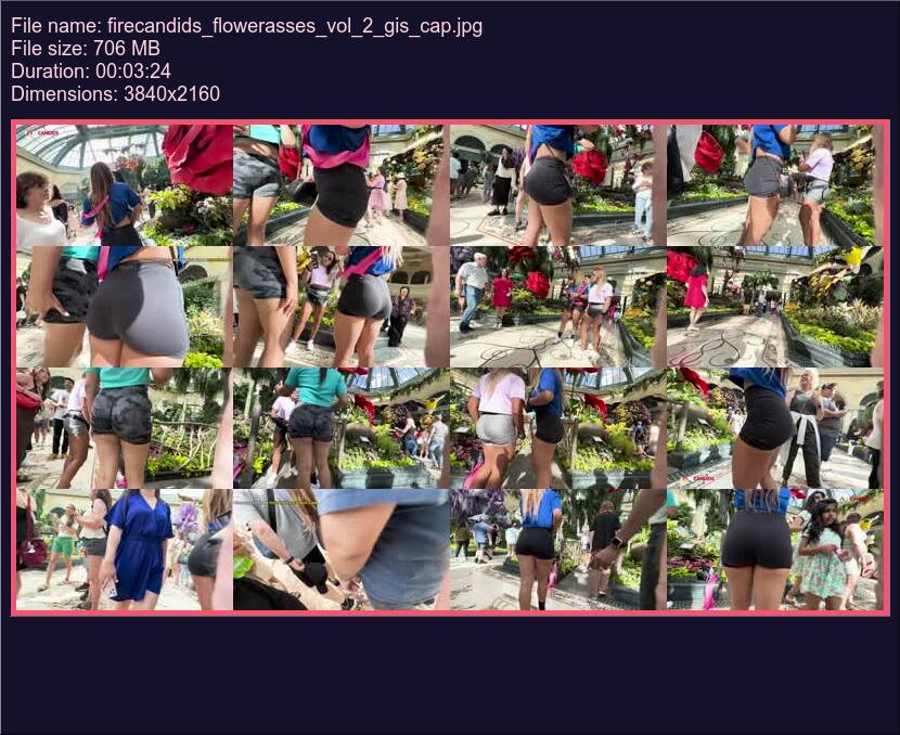 firecandids_flowerasses_vol_2_gis