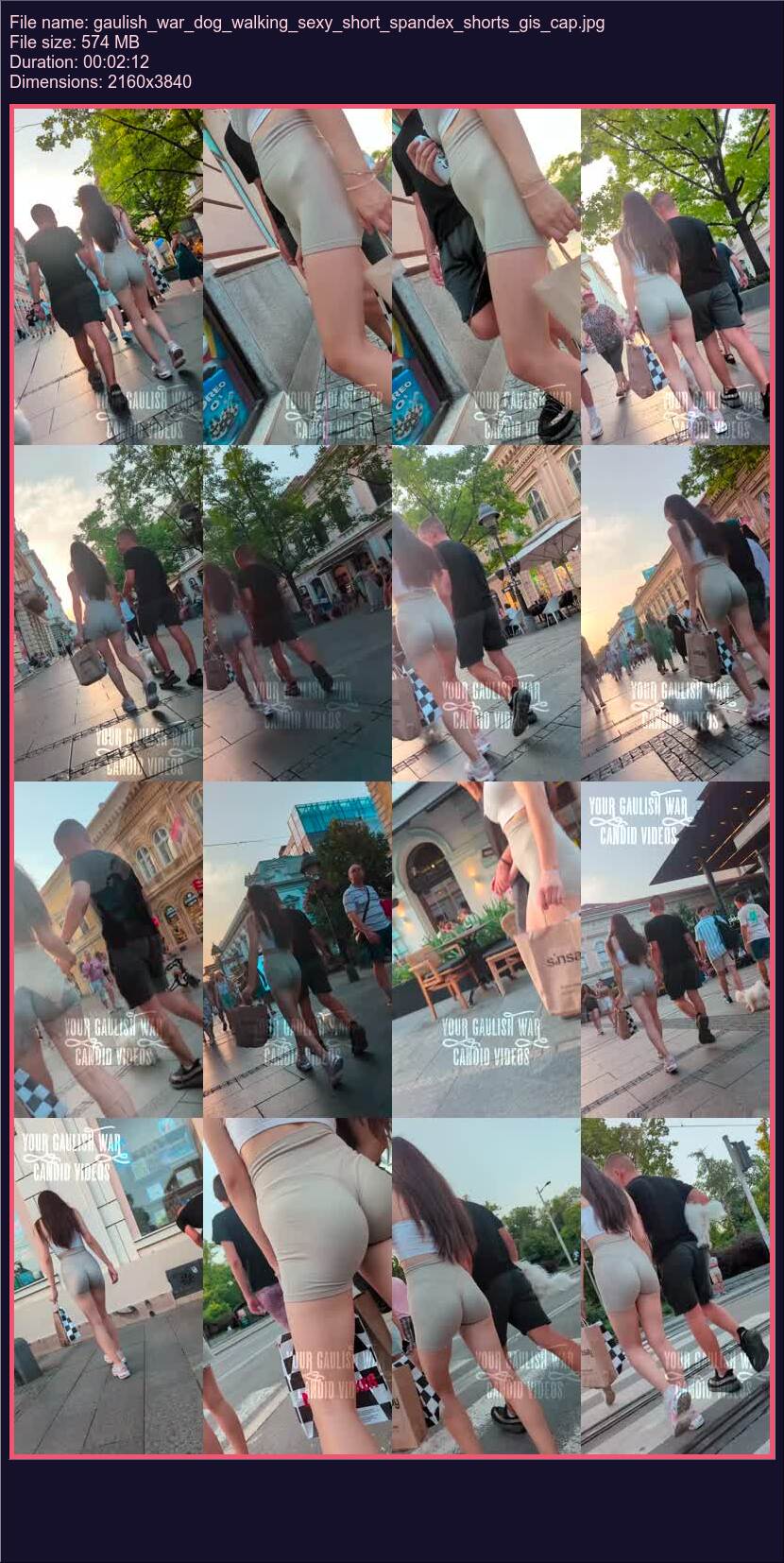 Gaulish War Dog Walking Sexy Short Spandex Shorts