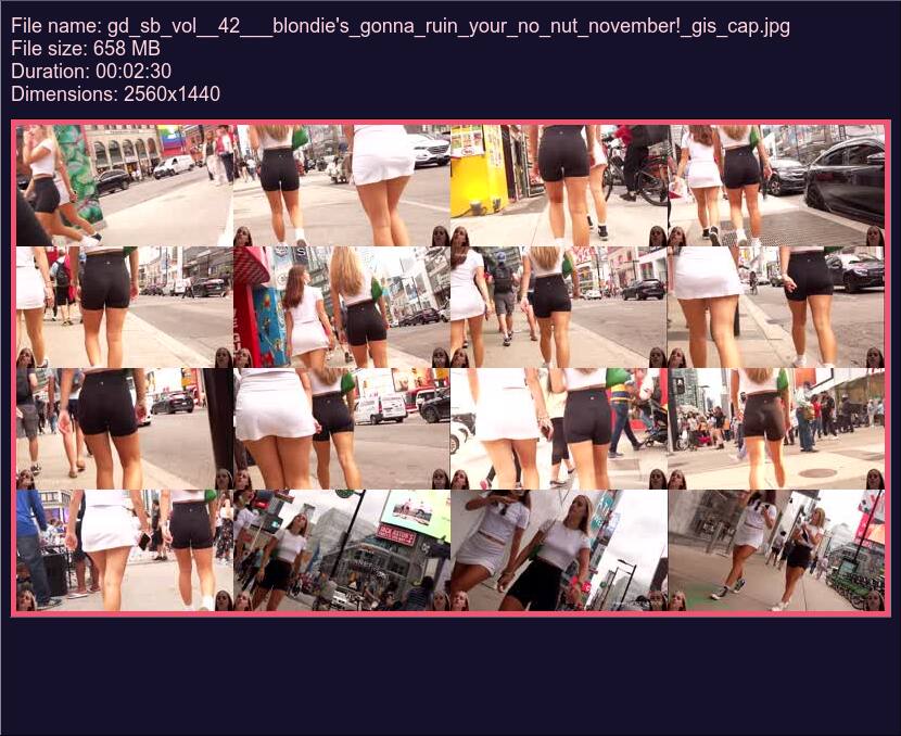 gd_sb_vol__42___blondie's_gonna_ruin_your_no_nut_november!_gis