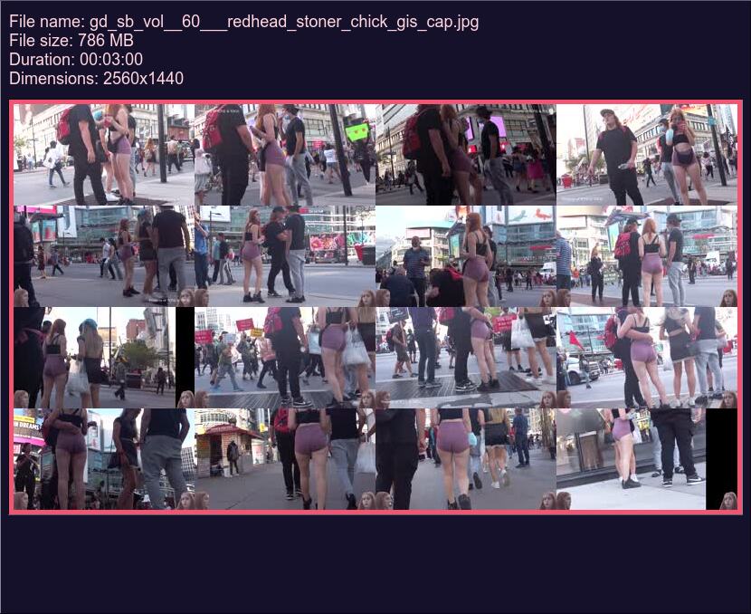 Gd Sb Vol 60 Redhead Stoner Chick