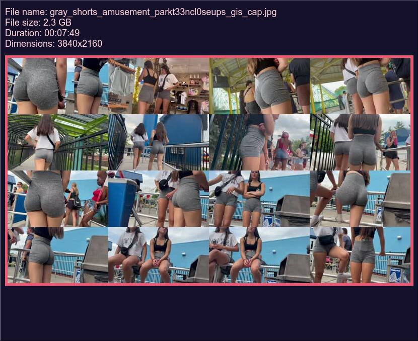 gray_shorts_amusement_parkt33ncl0seups_gis