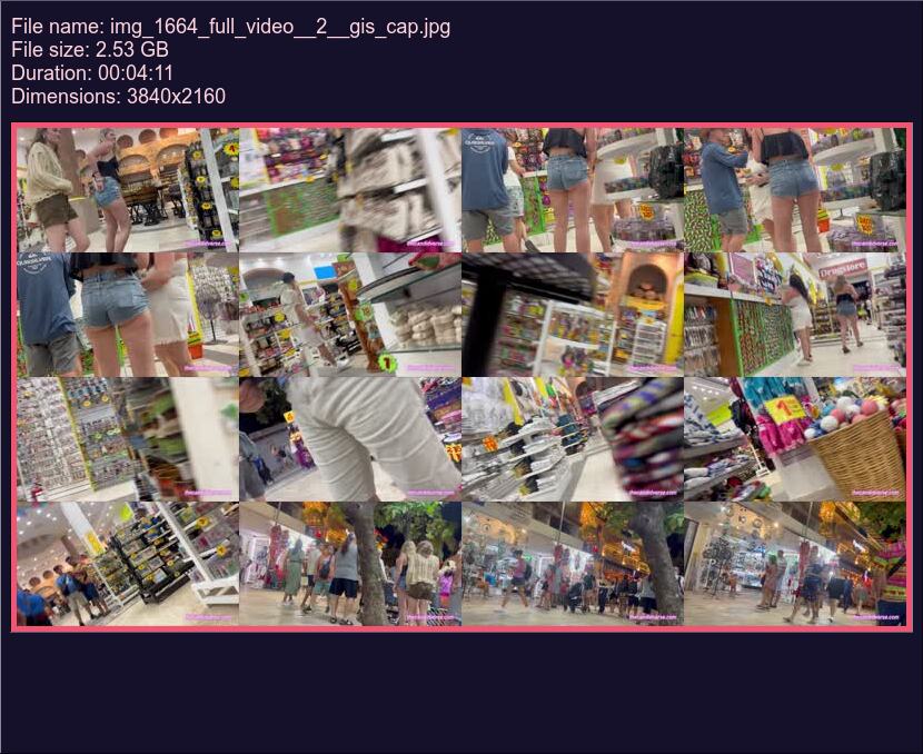 img_1664_full_video__2__gis