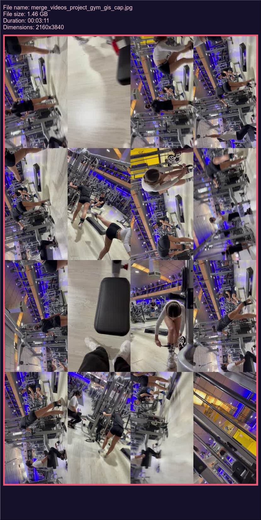merge_videos_project_gym_gis