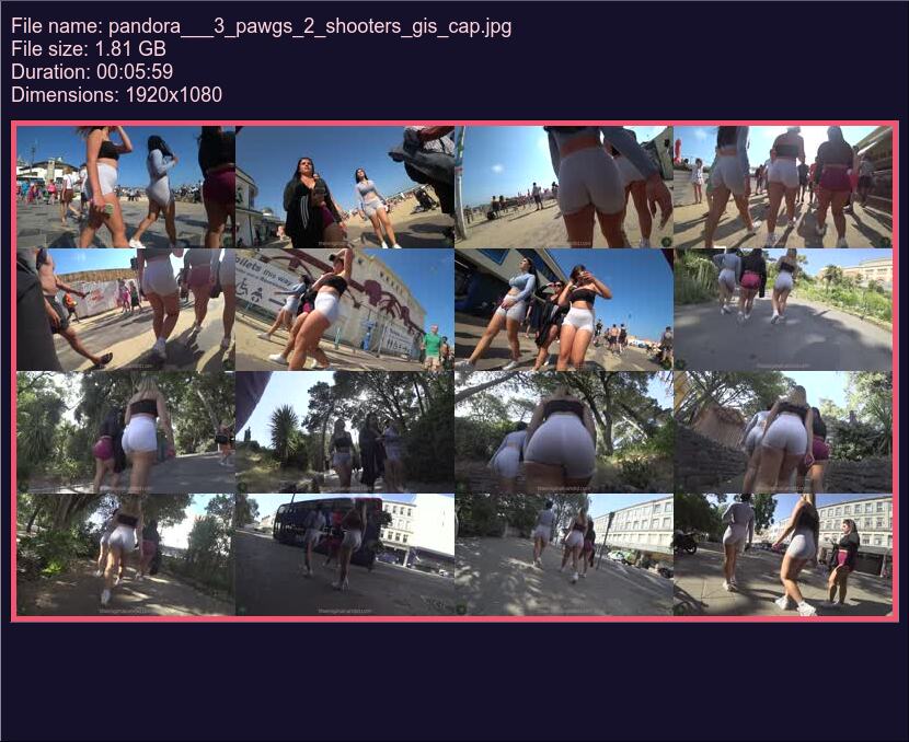 pandora___3_pawgs_2_shooters_gis