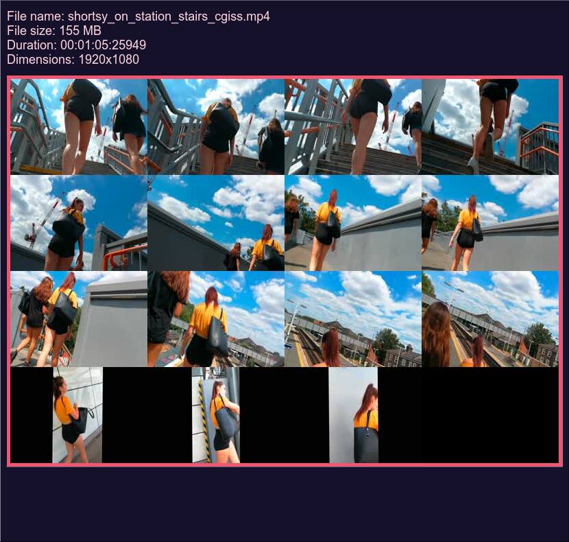 shortsy_on_station_stairs_cgiss