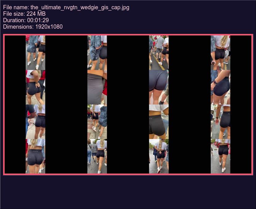 the_ultimate_nvgtn_wedgie_gis