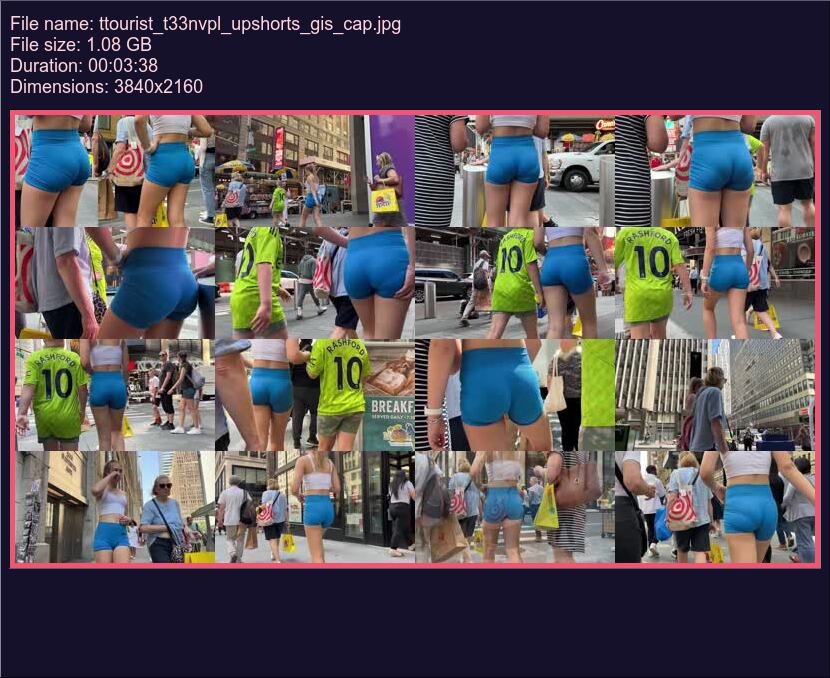 ttourist_t33nvpl_upshorts_gis
