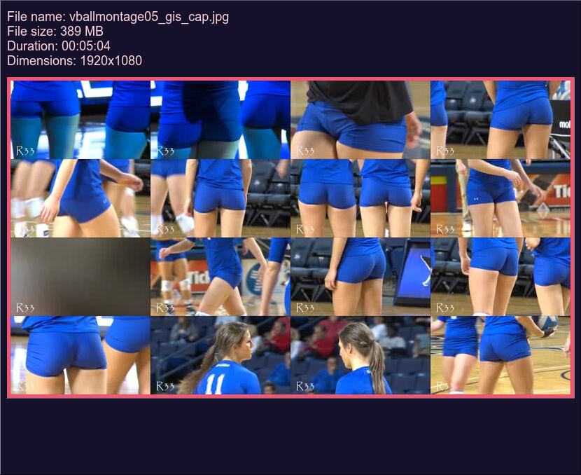 vballmontage05_gis