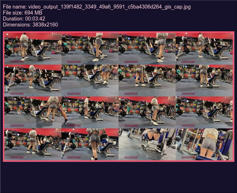 video_output_139f1482_3349_49a6_9591_c5ba4306d264_gis