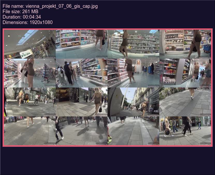 vienna_projekt_07_06_gis
