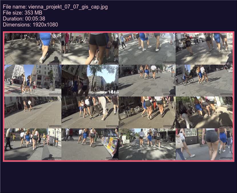 vienna_projekt_07_07_gis