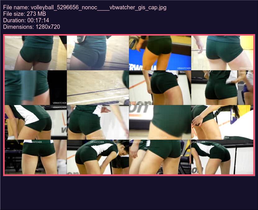 Volleyball 5296656 Nonoc Vbwatcher