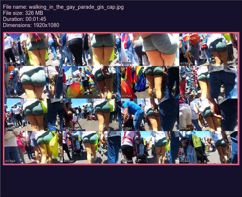 walking_in_the_gay_parade_gis