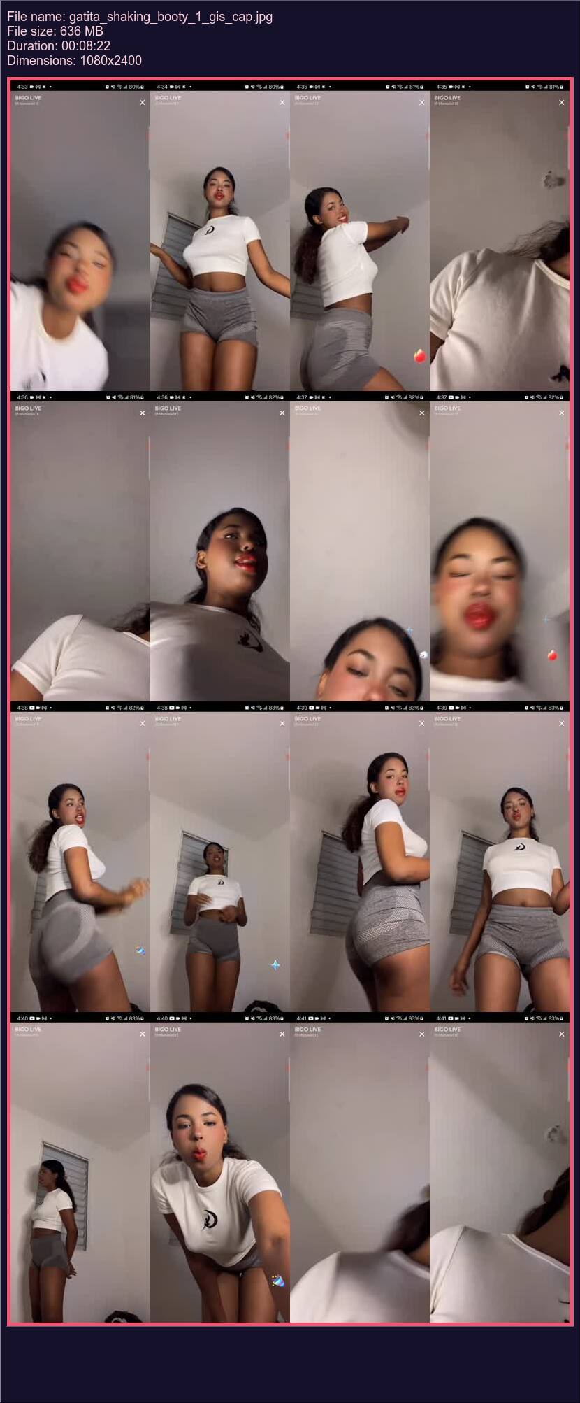 Gatita Shaking Booty 1
