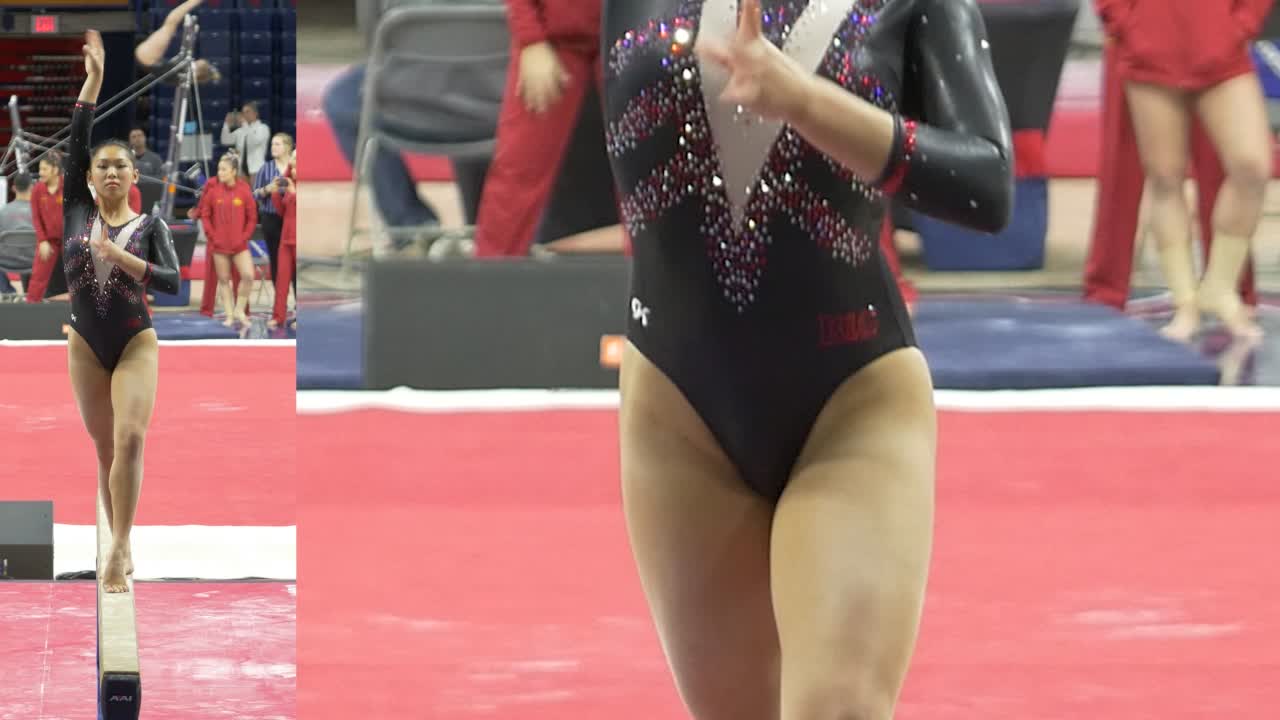 20200212_quadmeet_awir_p1090522_gis