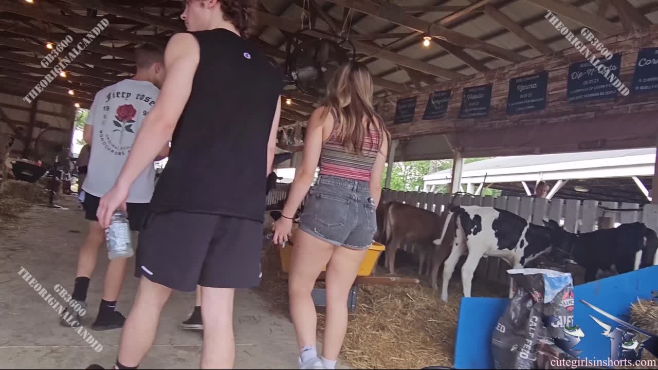 busty_stripped_shirt_country_teen_gis