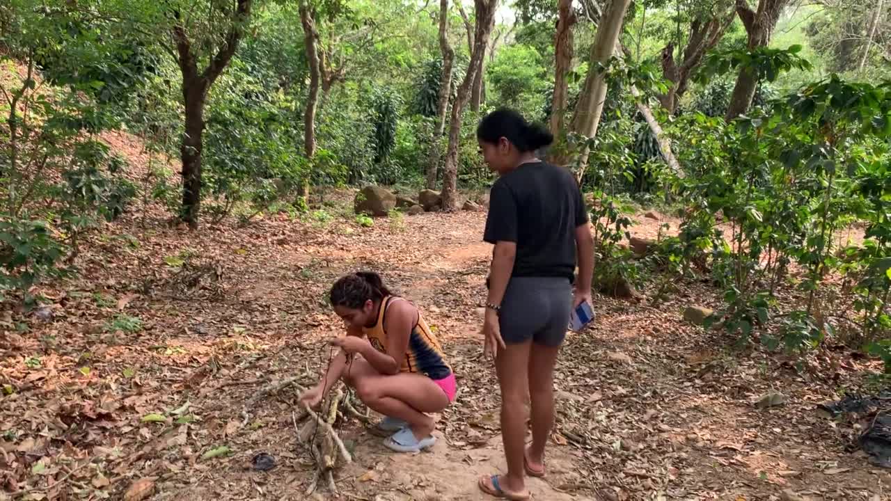 Como Tarzan Su Subieron Al Palo Ya Llevamos La