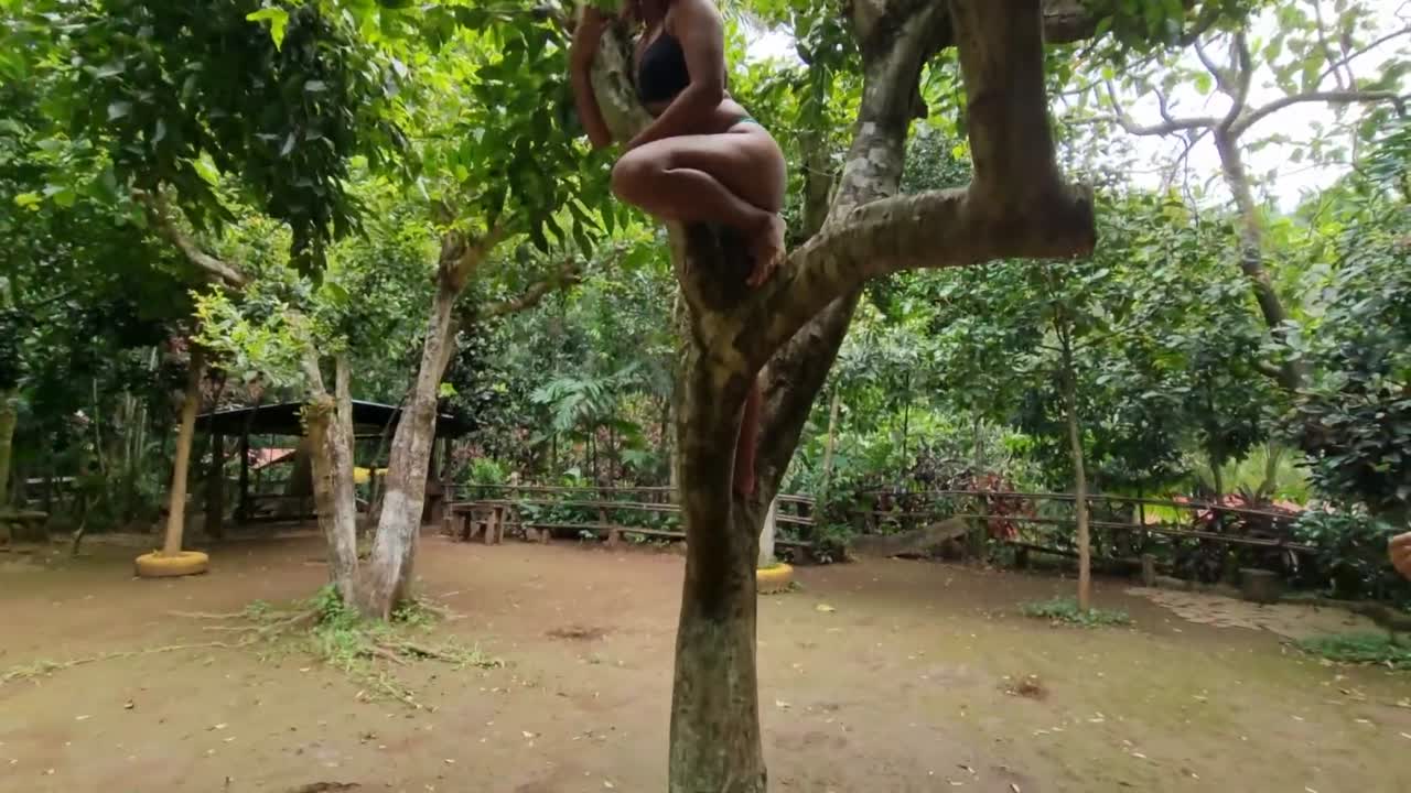 El Fruto Prohibido El Juego De La Manzana Lzk 9