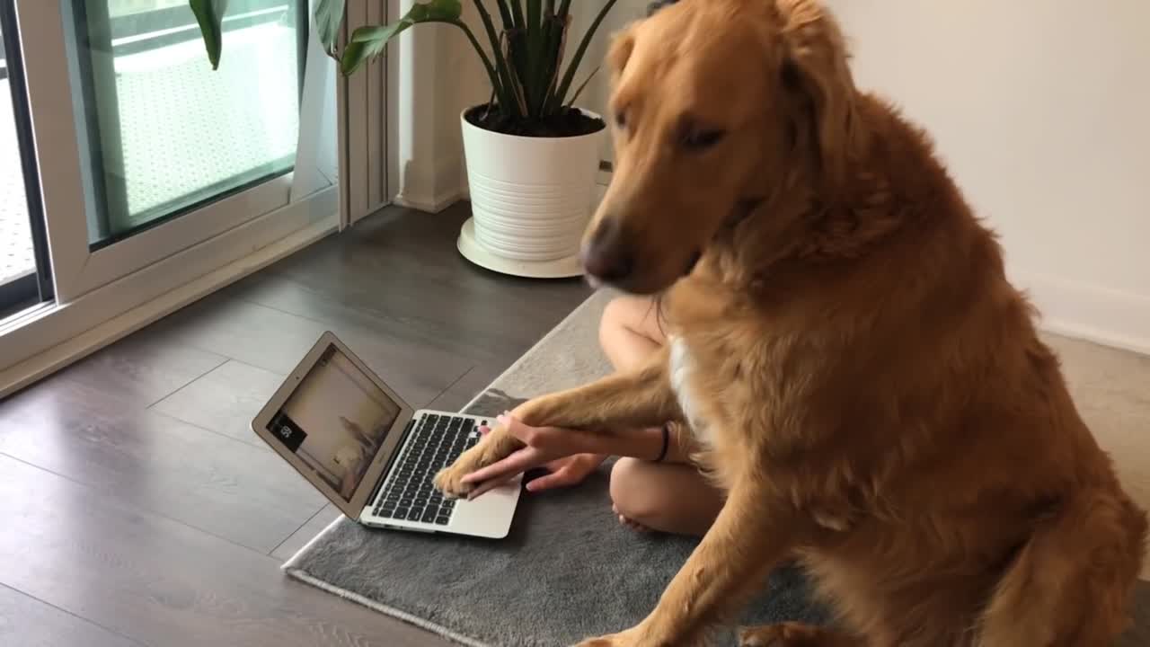 Yt 1 S Com At Home Workout Routine And Stretching 1080 P