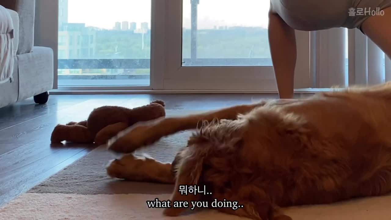 Yt 1 S Com Yoga Yoga Stretching Routine Yoga Challenge Home Training 1080 P